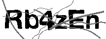 Loading CAPTCHA Image...
